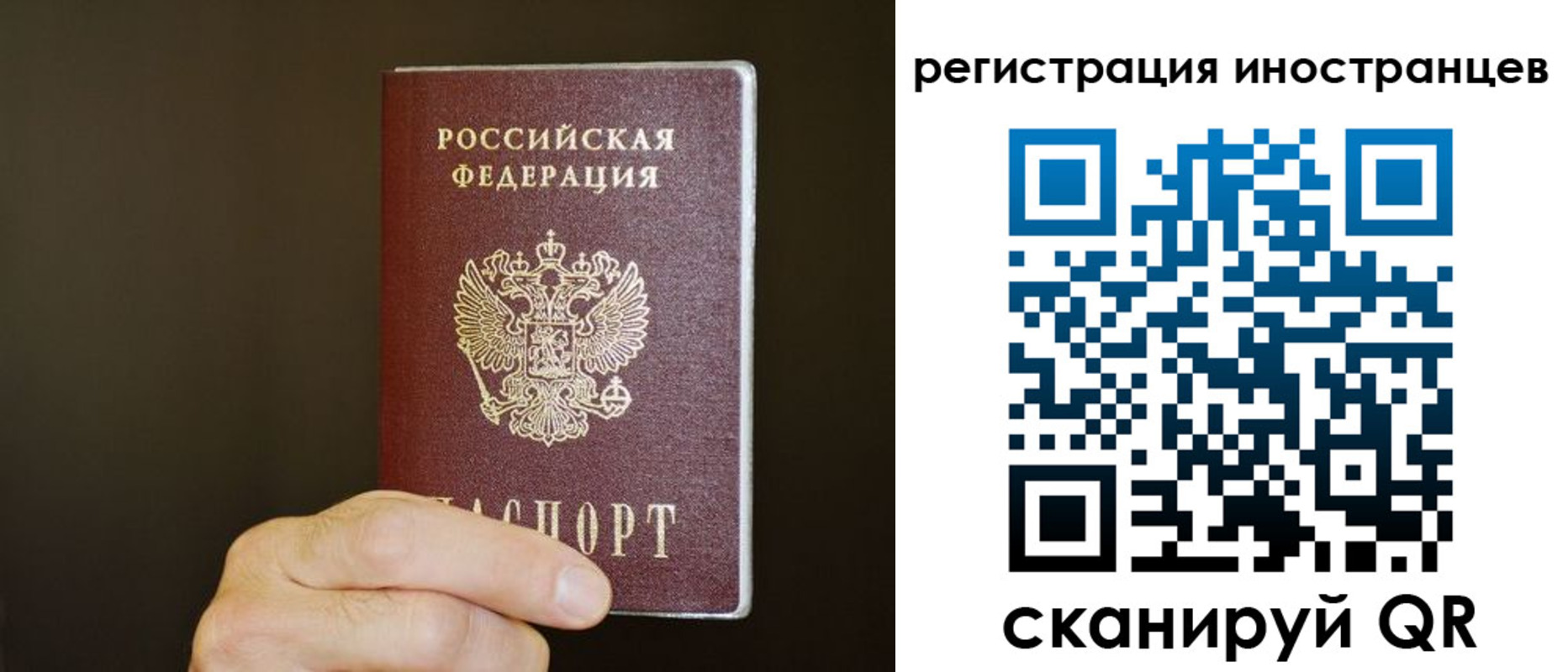 прописка в Сосновом Бору